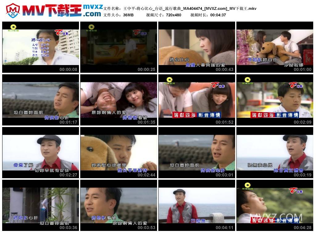 王中平-将心比心_台语_流行歌曲_MA404474